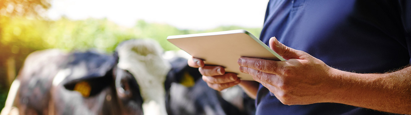 Farmer using smart tablet
